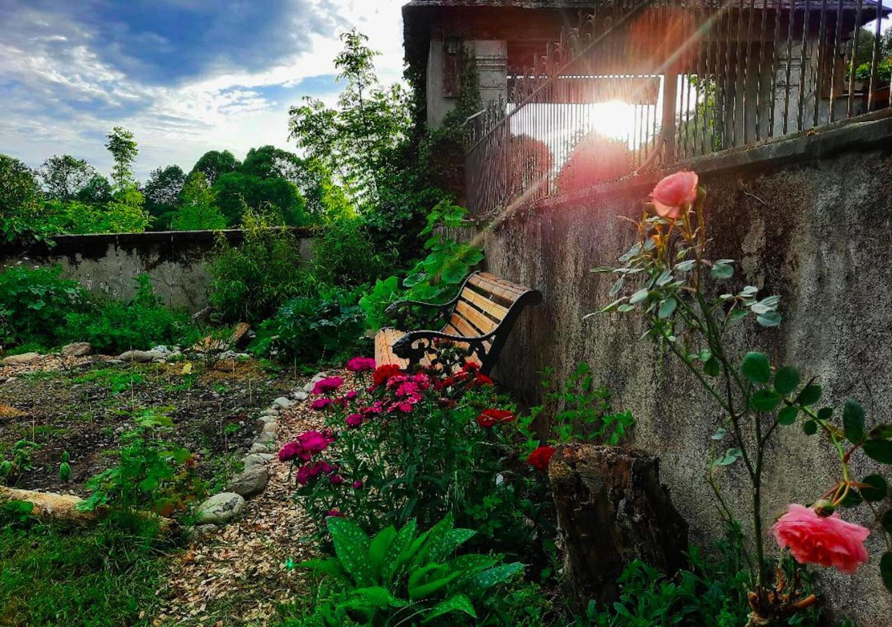 Domaine Lou Castet Bed & Breakfast Tuzaguet Exterior foto