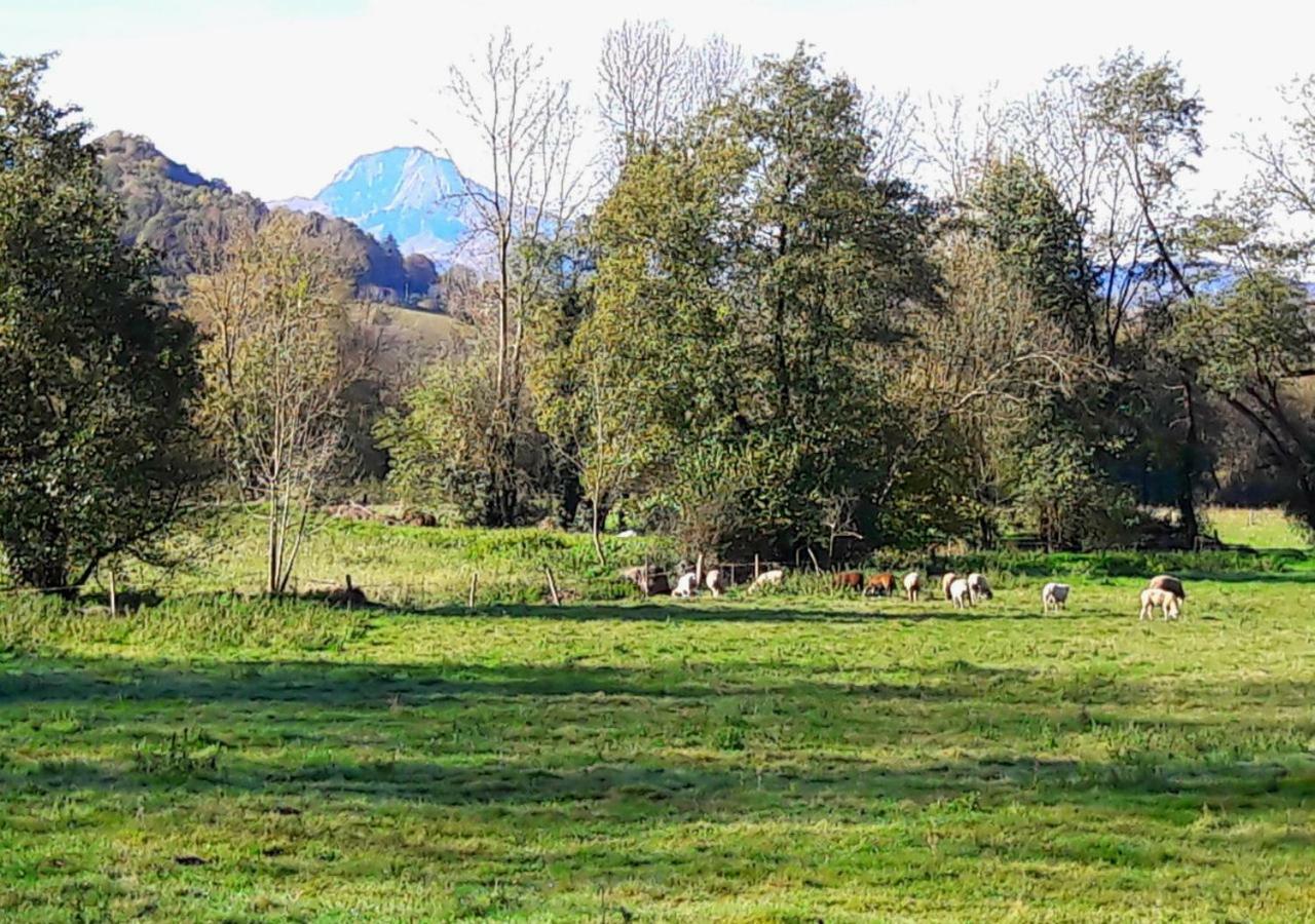 Domaine Lou Castet Bed & Breakfast Tuzaguet Exterior foto