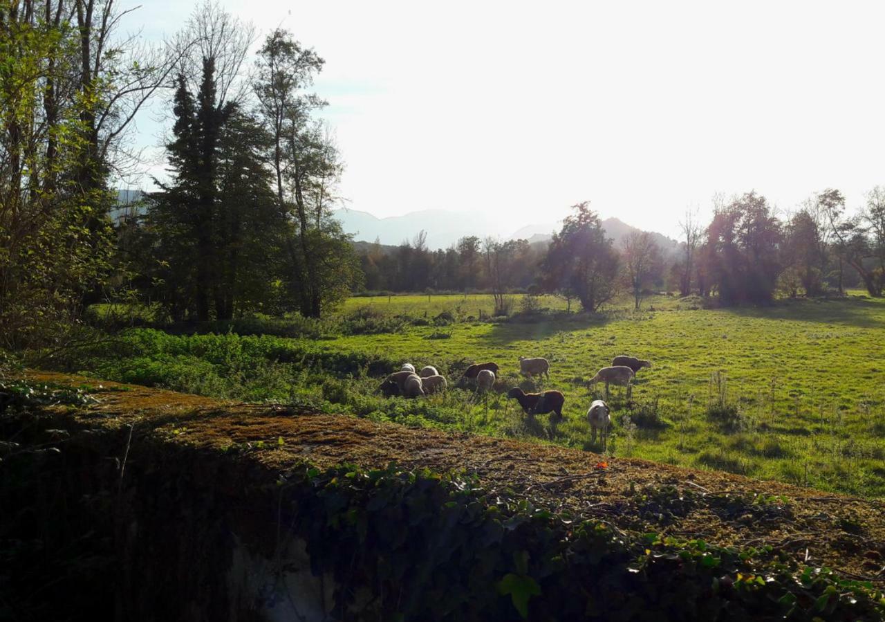 Domaine Lou Castet Bed & Breakfast Tuzaguet Exterior foto
